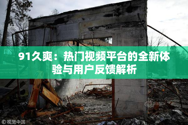 91久爽：热门视频平台的全新体验与用户反馈解析