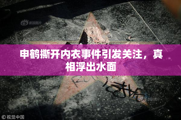 申鹤撕开内衣事件引发关注，真相浮出水面