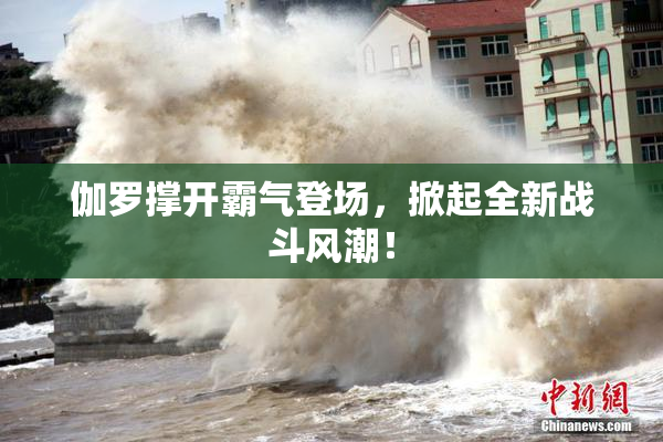 伽罗撑开霸气登场，掀起全新战斗风潮！