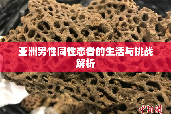 亚洲男性同性恋者的生活与挑战解析