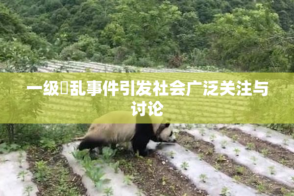 一级婬乱事件引发社会广泛关注与讨论