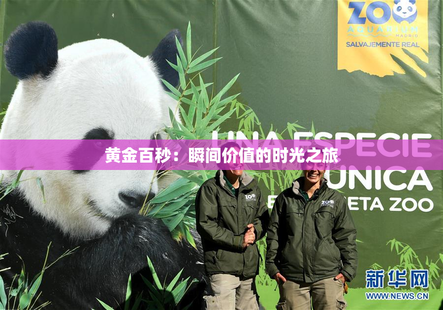 黄金百秒：瞬间价值的时光之旅