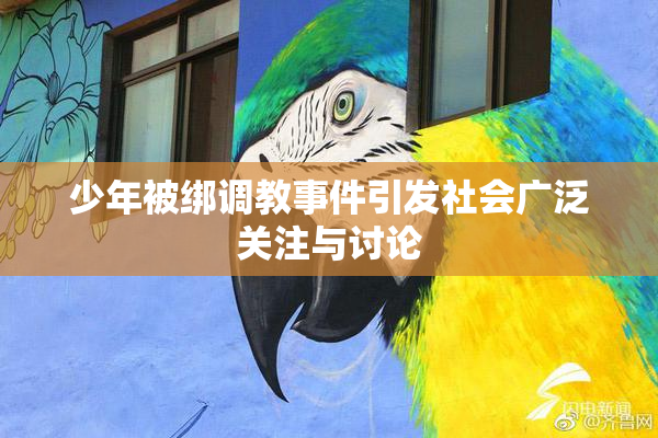 少年被绑调教事件引发社会广泛关注与讨论