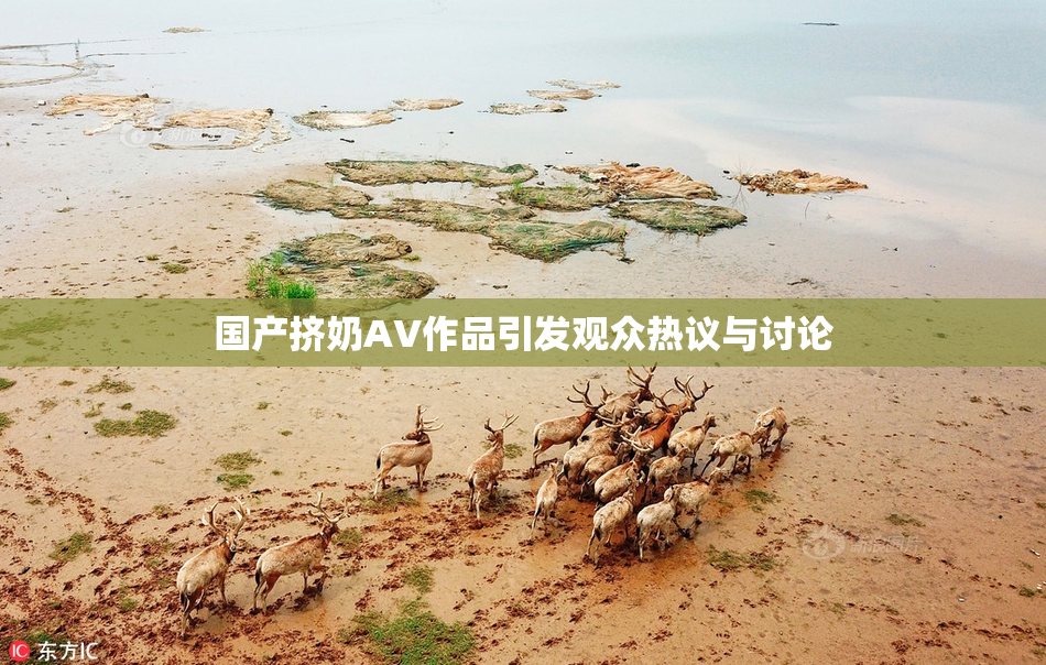 国产挤奶AV作品引发观众热议与讨论