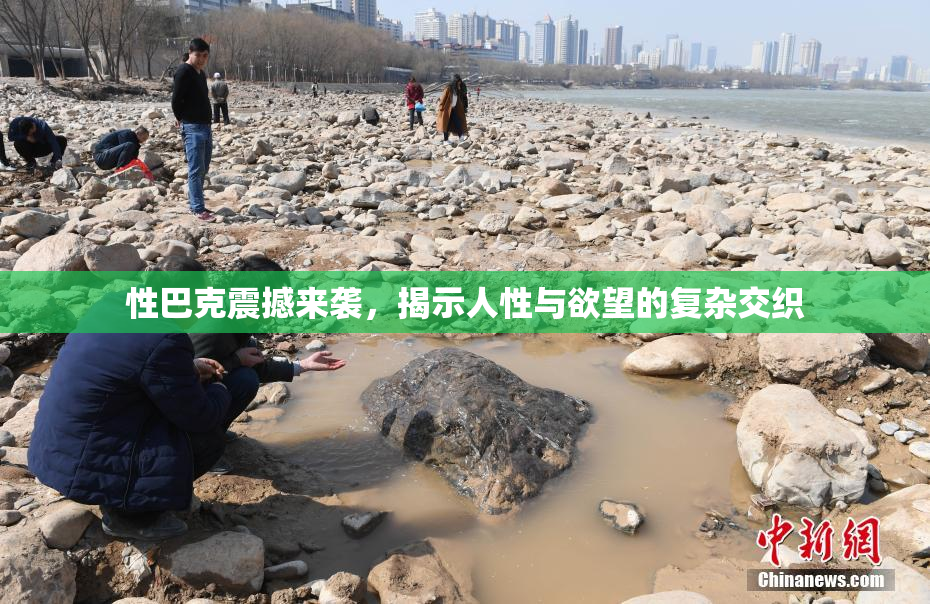 性巴克震撼来袭，揭示人性与欲望的复杂交织
