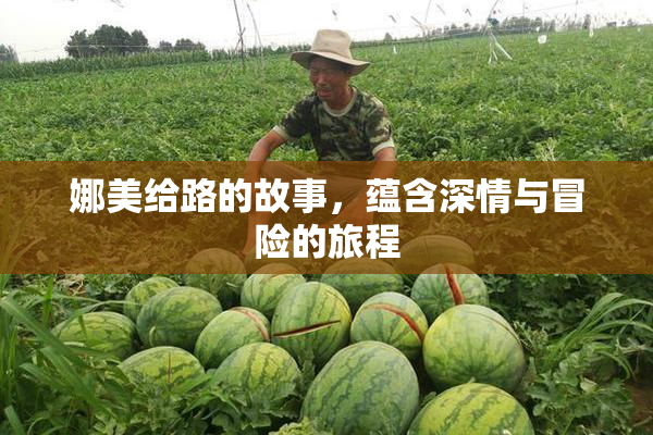 娜美给路的故事，蕴含深情与冒险的旅程