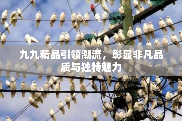 九九精品引领潮流，彰显非凡品质与独特魅力