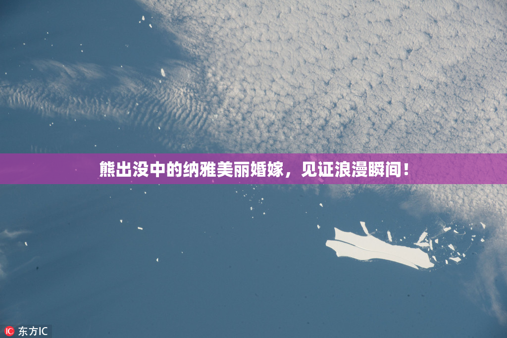 熊出没中的纳雅美丽婚嫁，见证浪漫瞬间！