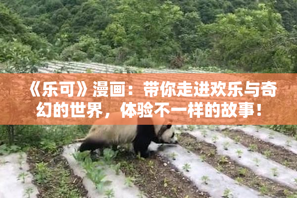 《乐可》漫画：带你走进欢乐与奇幻的世界，体验不一样的故事！