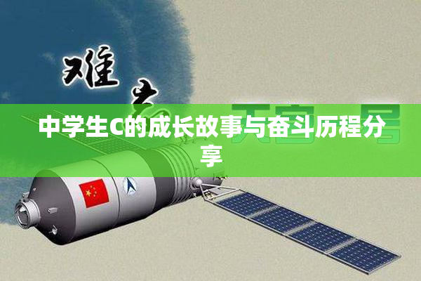 中学生C的成长故事与奋斗历程分享