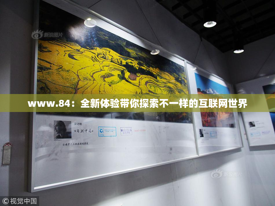 www.84：全新体验带你探索不一样的互联网世界