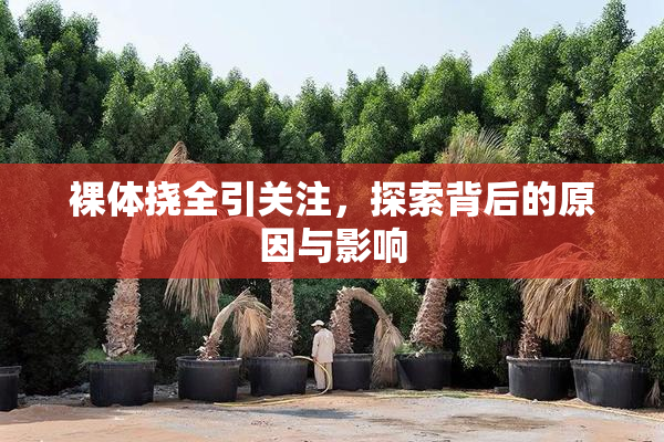 裸体挠全引关注，探索背后的原因与影响