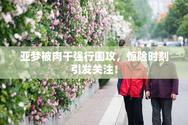 亚梦被肉干强行围攻，惊险时刻引发关注！