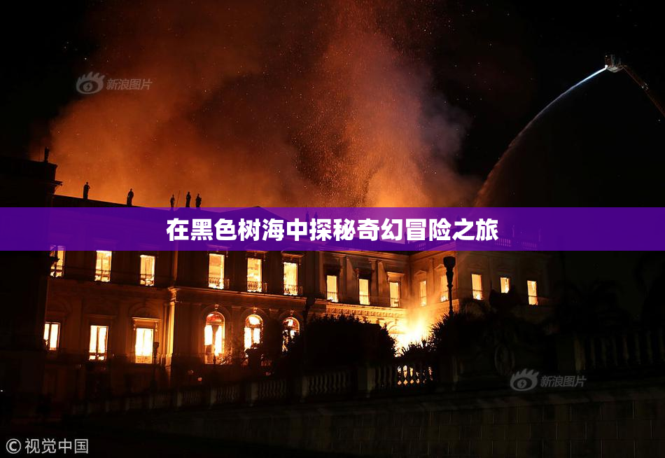在黑色树海中探秘奇幻冒险之旅