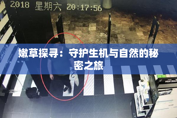 嫩草探寻：守护生机与自然的秘密之旅