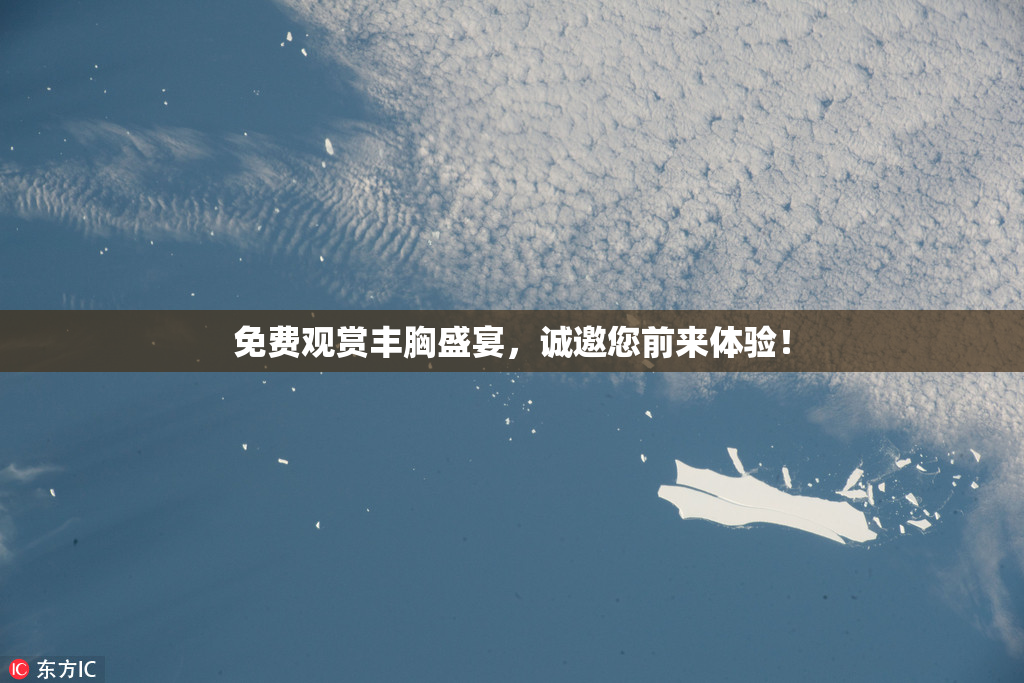 免费观赏丰胸盛宴，诚邀您前来体验！