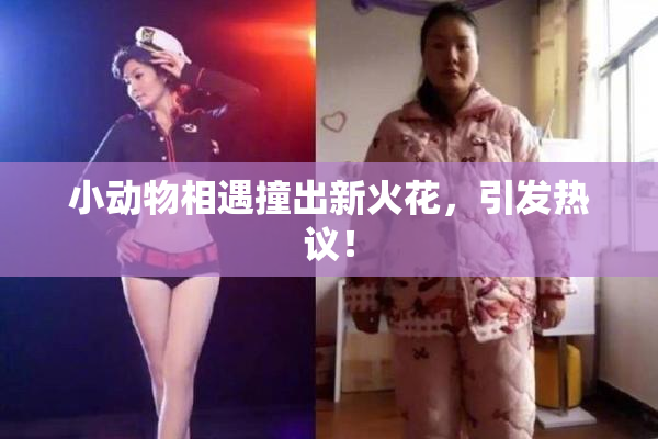 小动物相遇撞出新火花，引发热议！