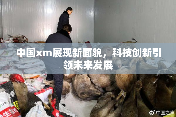 中国xm展现新面貌，科技创新引领未来发展