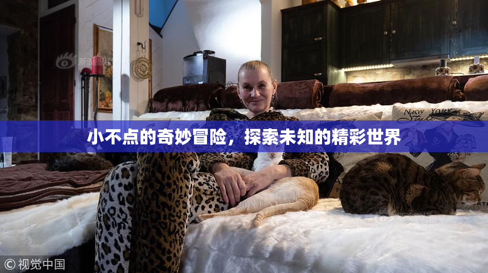 小不点的奇妙冒险，探索未知的精彩世界