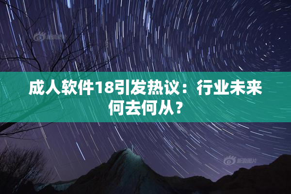 成人软件18引发热议：行业未来何去何从？