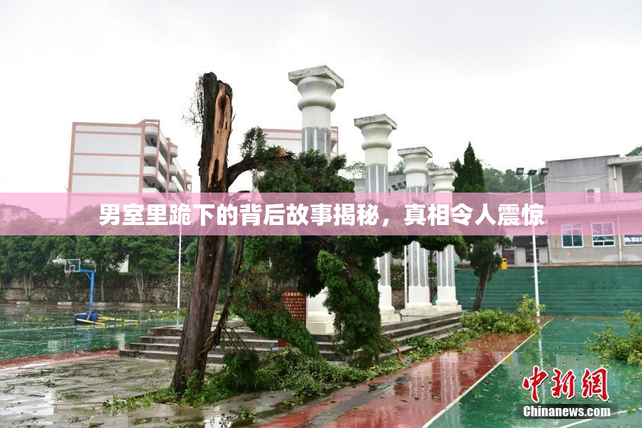 男室里跪下的背后故事揭秘，真相令人震惊