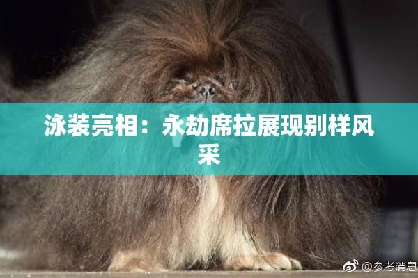 泳装亮相：永劫席拉展现别样风采