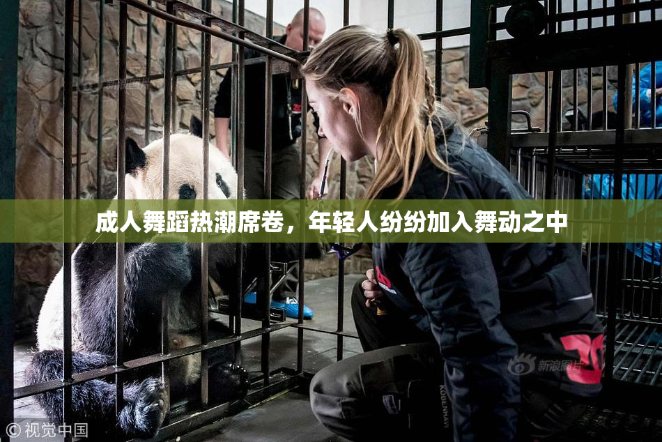 成人舞蹈热潮席卷，年轻人纷纷加入舞动之中