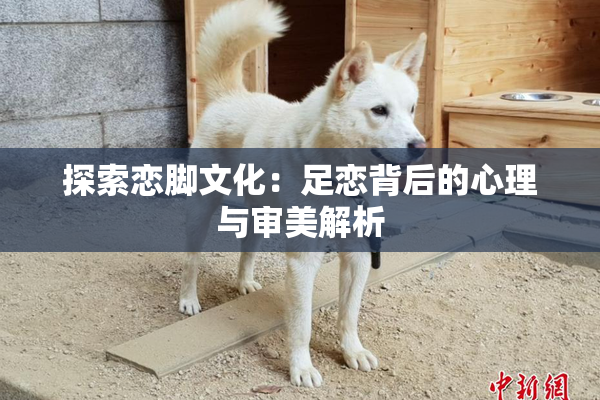 探索恋脚文化：足恋背后的心理与审美解析