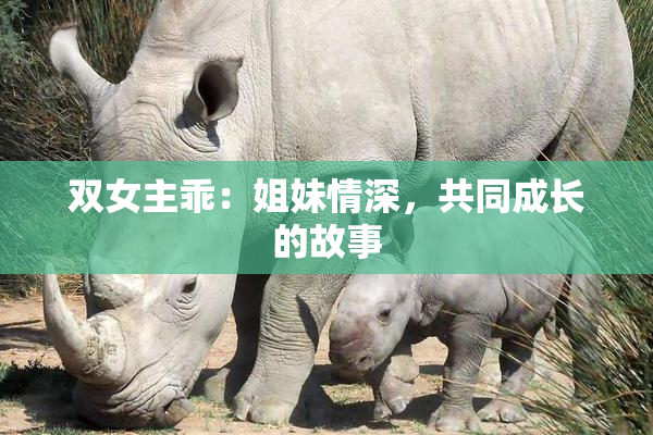 双女主乖：姐妹情深，共同成长的故事