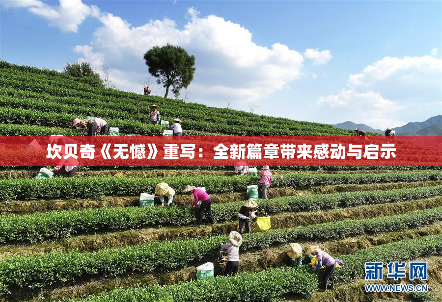 坎贝奇《无憾》重写：全新篇章带来感动与启示