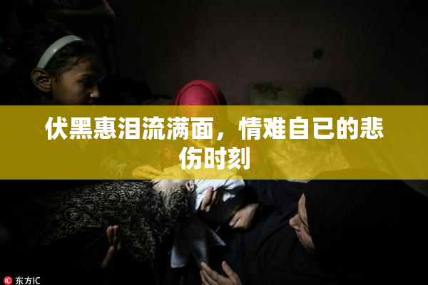 伏黑惠泪流满面，情难自已的悲伤时刻