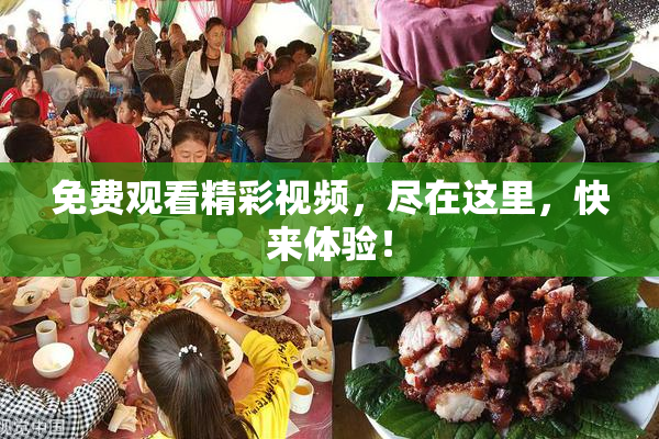 免费观看精彩视频，尽在这里，快来体验！