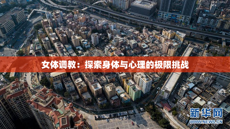 女体调教：探索身体与心理的极限挑战