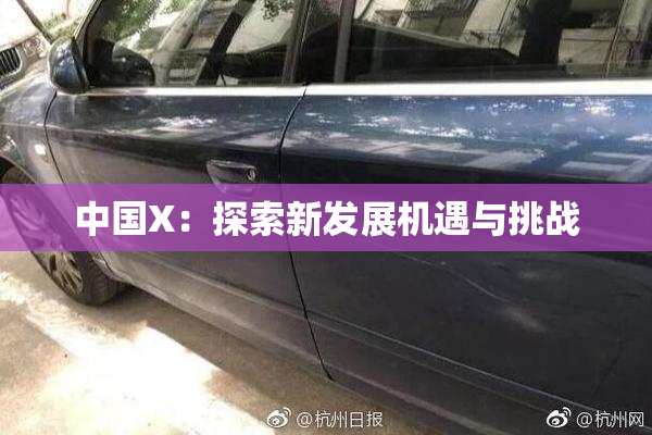 中国X：探索新发展机遇与挑战