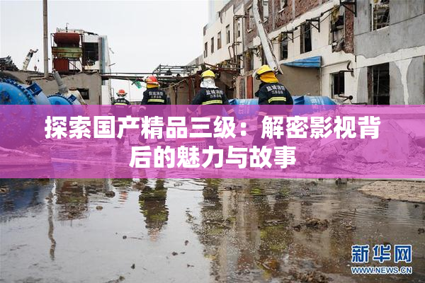探索国产精品三级：解密影视背后的魅力与故事
