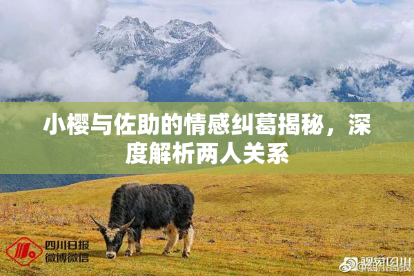 小樱与佐助的情感纠葛揭秘，深度解析两人关系