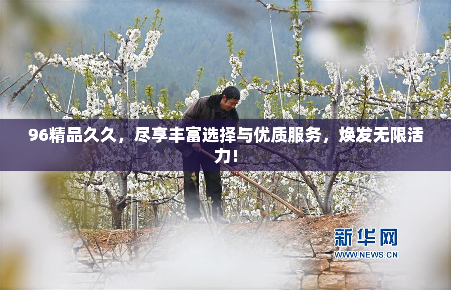 96精品久久，尽享丰富选择与优质服务，焕发无限活力！