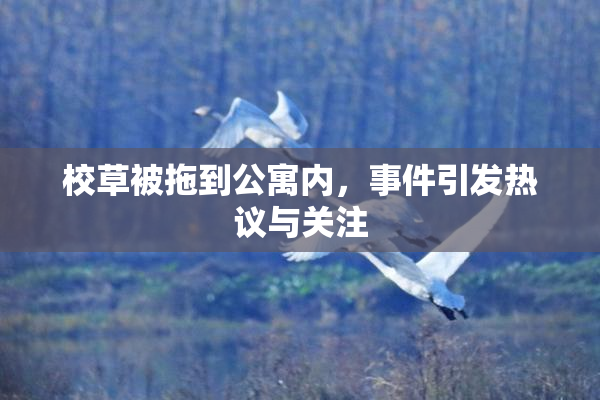 校草被拖到公寓内，事件引发热议与关注