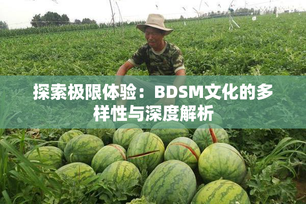 探索极限体验：BDSM文化的多样性与深度解析