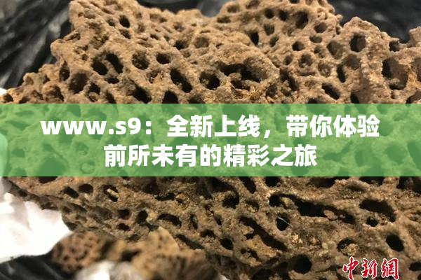 www.s9：全新上线，带你体验前所未有的精彩之旅