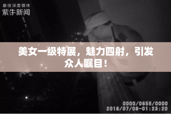 美女一级特展，魅力四射，引发众人瞩目！