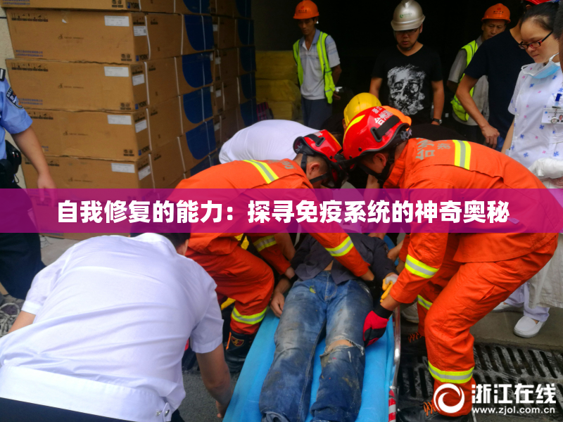 自我修复的能力：探寻免疫系统的神奇奥秘
