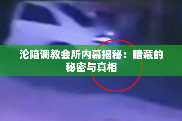 沦陷调教会所内幕揭秘：暗藏的秘密与真相