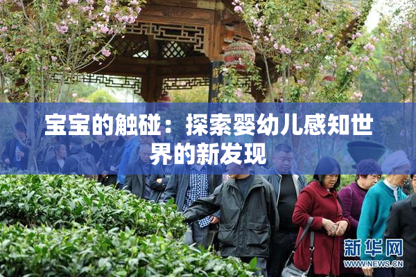 宝宝的触碰：探索婴幼儿感知世界的新发现