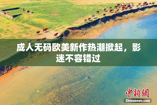 成人无码欧美新作热潮掀起，影迷不容错过