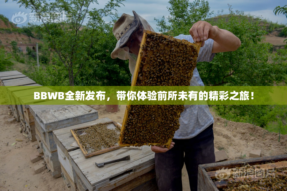BBWB全新发布，带你体验前所未有的精彩之旅！