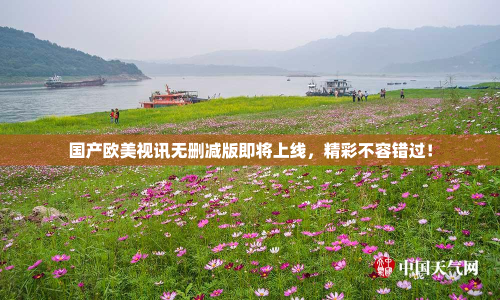 国产欧美视讯无删减版即将上线，精彩不容错过！
