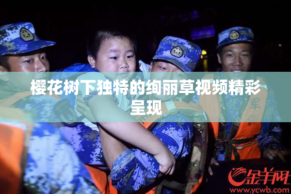 樱花树下独特的绚丽草视频精彩呈现