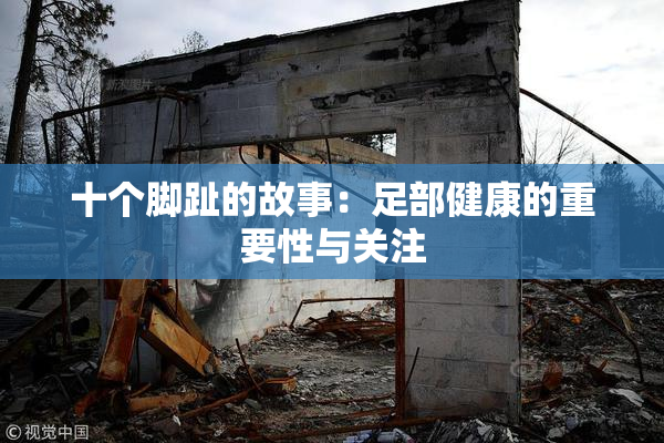 十个脚趾的故事：足部健康的重要性与关注