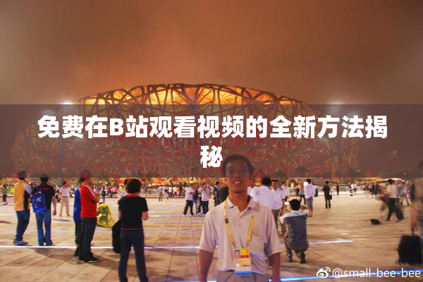 免费在B站观看视频的全新方法揭秘